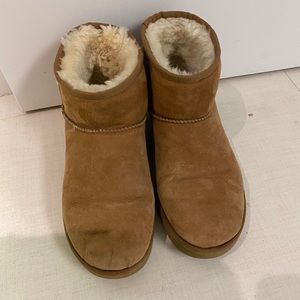 Classic Mini II Ugg Boot in Chesnut